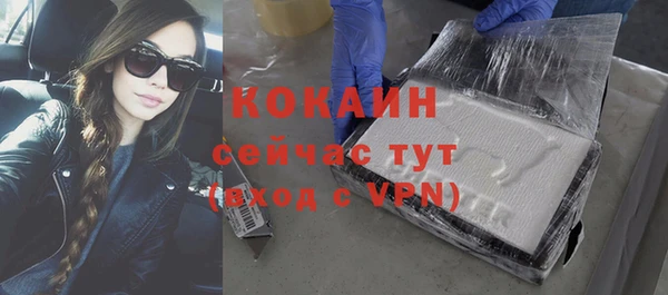 стаф Дмитровск