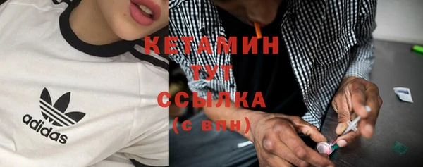 стаф Дмитровск