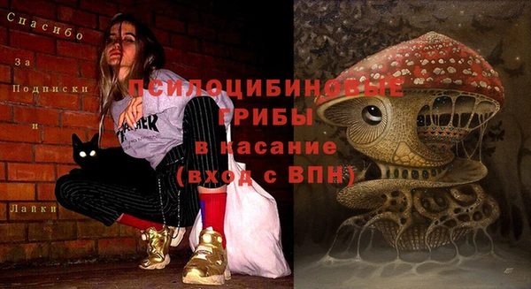 каннабис Дмитров