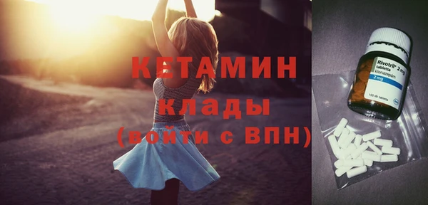 стаф Дмитровск