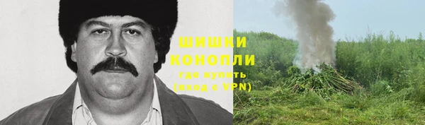 стаф Дмитровск