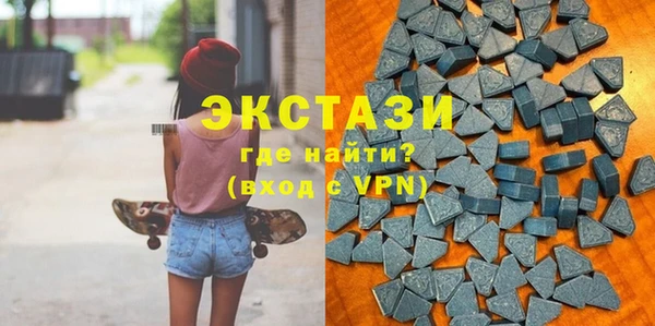 стаф Дмитровск