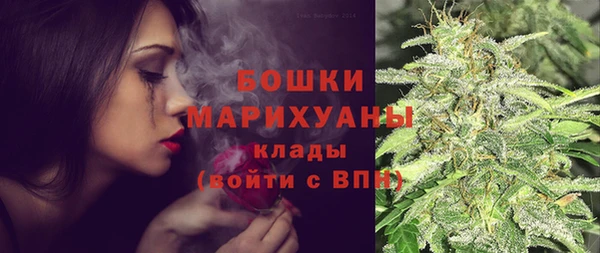 стаф Дмитровск