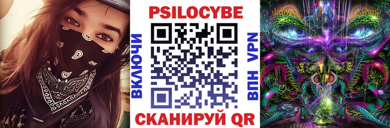 Псилоцибиновые грибы Psilocybine cubensis  Себеж 
